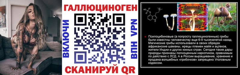 Купить закладки  Южно-Сухокумск  Псилоцибиновые грибы Magic Shrooms 